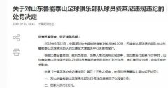 因肘击对手 鲁能外援费莱尼被禁赛